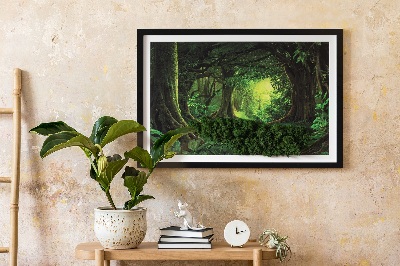 Slika iz maha z okvirjem Tropska džungla