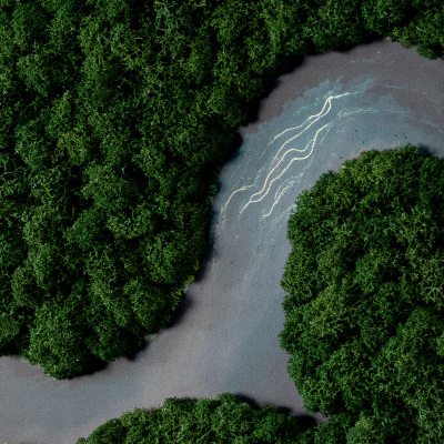 Mah slika Reka v gozdu