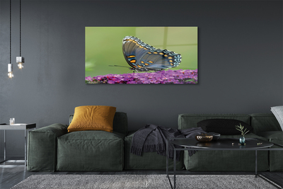 Steklena slika Pisani metulj na cvetje