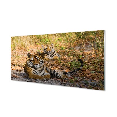 Steklena slika Tigri