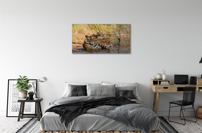 Steklena slika Tigri