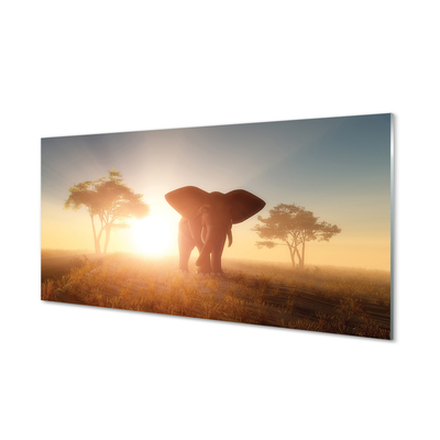 Steklena slika Slon drevo vzhod