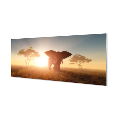 Steklena slika Slon drevo vzhod