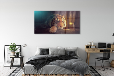 Steklena slika Tiger woods človek