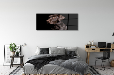 Steklena slika Rjav pes
