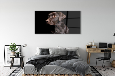 Steklena slika Rjav pes