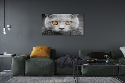 Steklena slika Siva britanska mačka