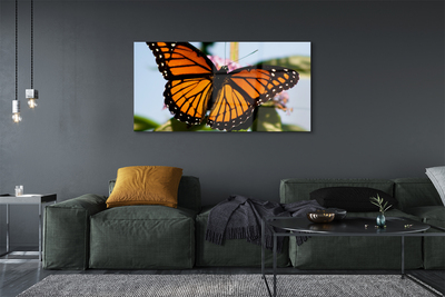 Steklena slika Pisane metulj