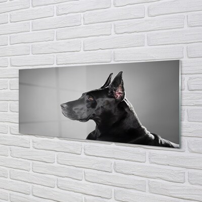 Steklena slika Črni pes