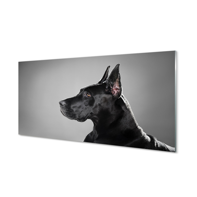Steklena slika Črni pes