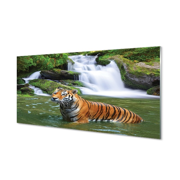 Steklena slika Tiger slap