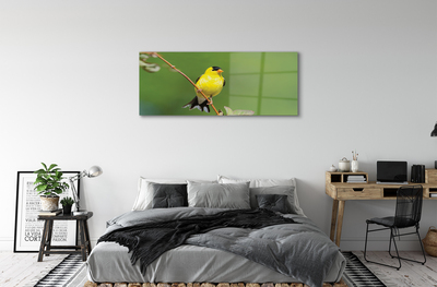 Steklena slika Rumena papiga