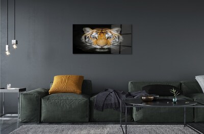 Steklena slika Tiger