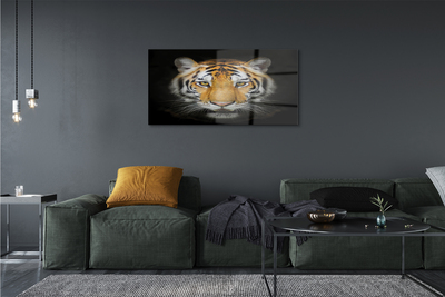 Steklena slika Tiger