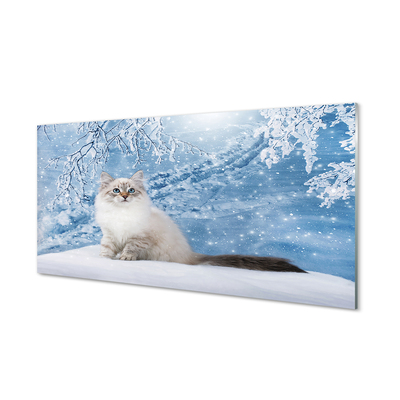 Steklena slika Mačka zima