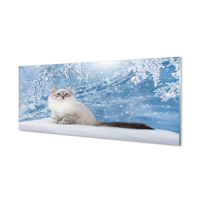 Steklena slika Mačka zima