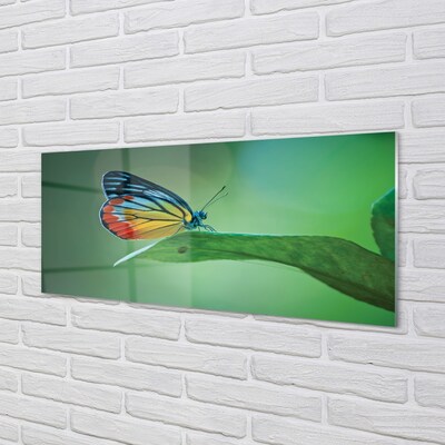 Steklena slika Pisani metulj listov