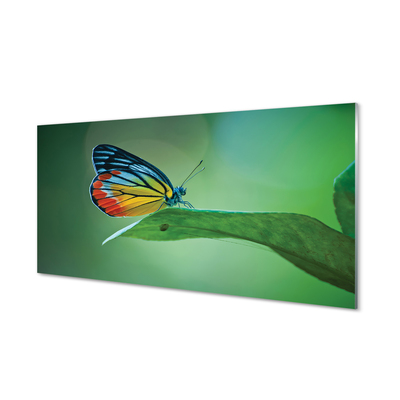 Steklena slika Pisani metulj listov
