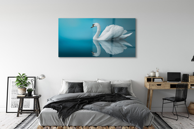 Steklena slika Swan v vodi