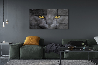 Steklena slika Črna mačka