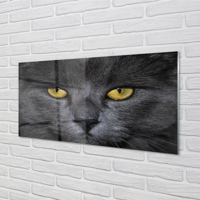 Steklena slika Črna mačka