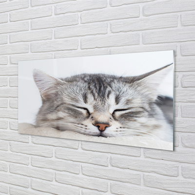 Steklena slika Zaspani maček