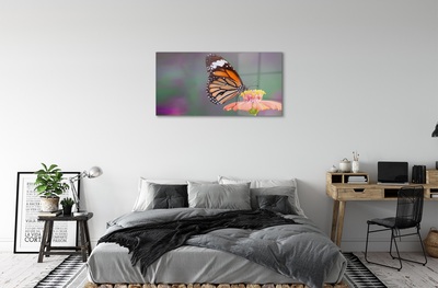 Steklena slika Pisani metulj cvet