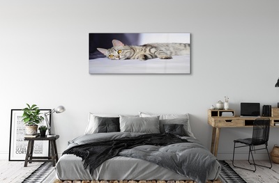 Steklena slika Leži mačka