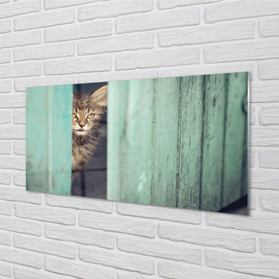 Steklena slika Zaglądający mačka
