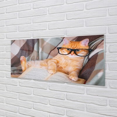 Steklena slika Bralec mačka