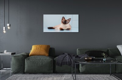 Steklena slika Leži mačka