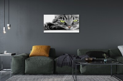 Steklena slika Sivo-črna mačka