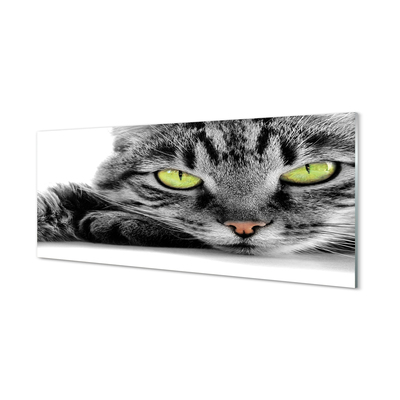 Steklena slika Sivo-črna mačka
