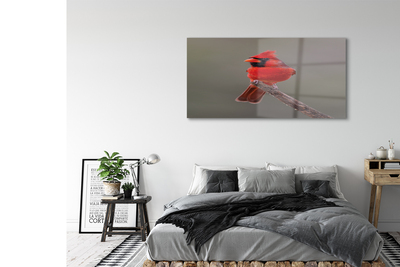 Steklena slika Rdeča papiga na veji
