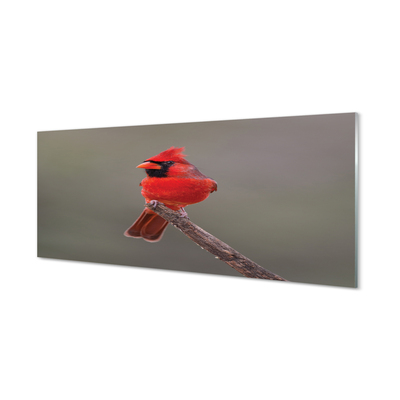 Steklena slika Rdeča papiga na veji