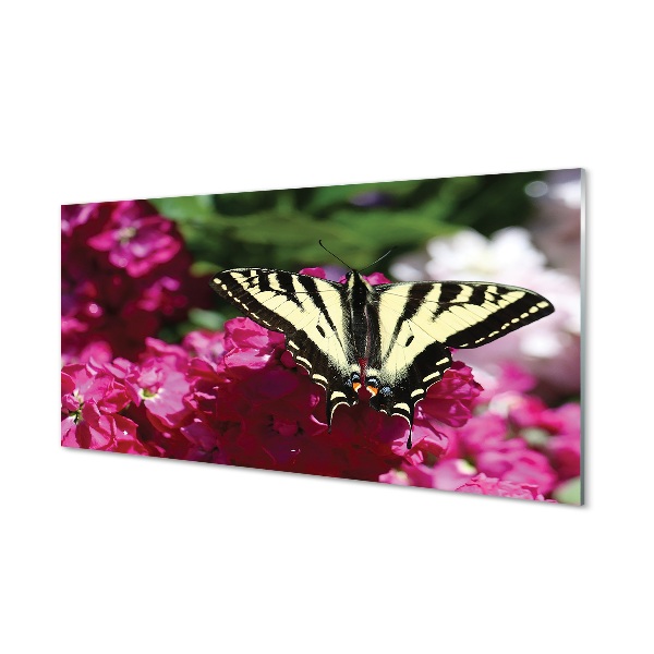 Steklena slika Cvetje metulj