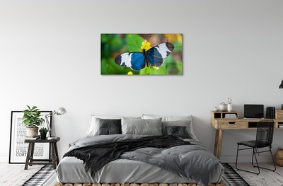 Steklena slika Pisani metulj na cvetje