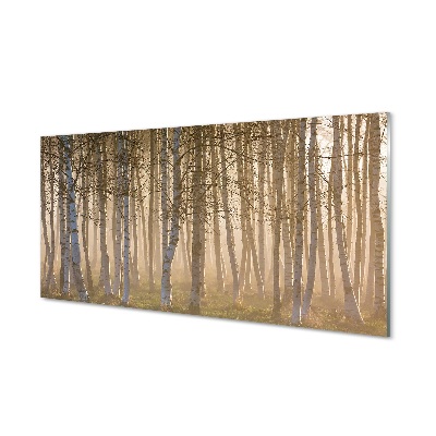 Steklena slika Sunrise drevo gozd