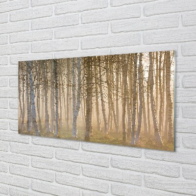 Steklena slika Sunrise drevo gozd