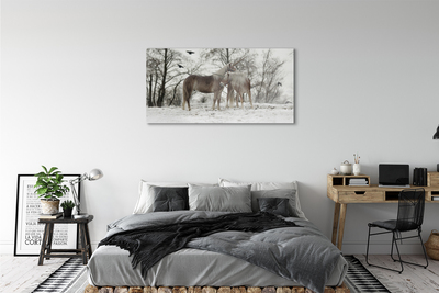 Steklena slika Zimske gozdne samorogi