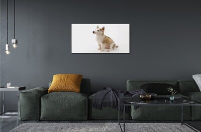 Steklena slika Sedenje majhen pes