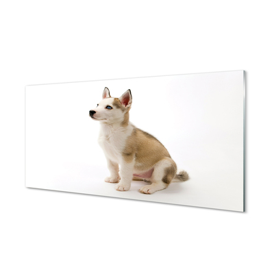 Steklena slika Sedenje majhen pes