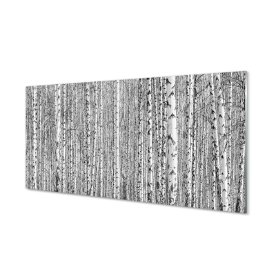 Steklena slika Črno-belo drevo gozd