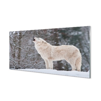 Steklena slika Wolf zimski gozd