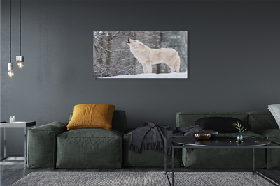 Steklena slika Wolf zimski gozd