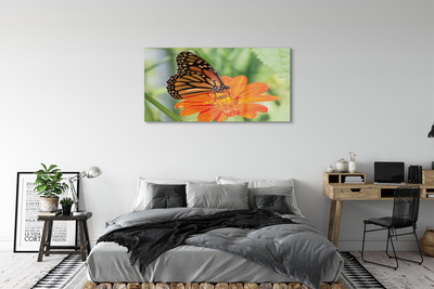 Steklena slika Flower pisane metulj