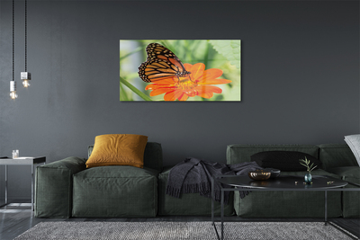 Steklena slika Flower pisane metulj