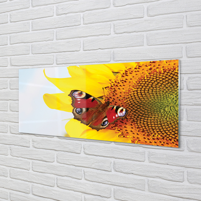 Steklena slika Sončnično metulj