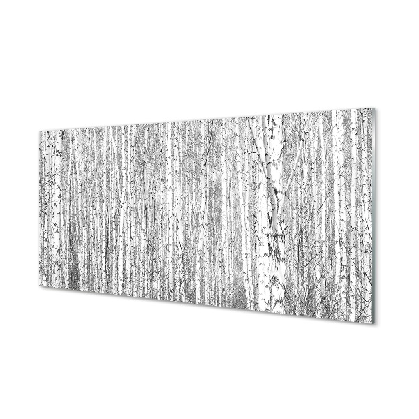 Steklena slika Črno-belo drevo gozd