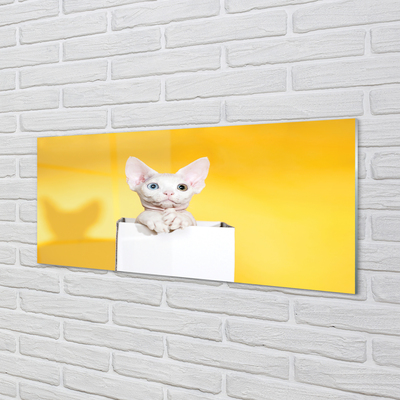 Steklena slika Sedi mačka